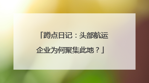 蹲点日记：头部航运企业为何聚集此地？