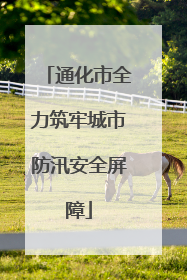 通化市全力筑牢城市防汛安全屏障