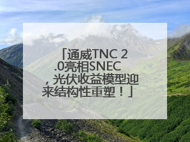 通威TNC 2.0亮相SNEC，光伏收益模型迎来结构性重塑！