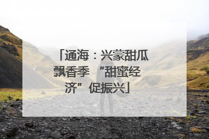 通海：兴蒙甜瓜飘香季 “甜蜜经济”促振兴