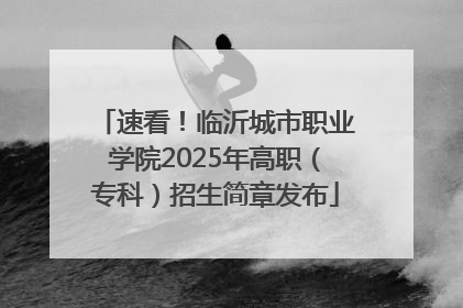 速看！临沂城市职业学院2025年高职（专科）招生简章发布