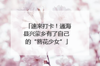 速来打卡！通海县兴蒙乡有了自己的“簪花少女”