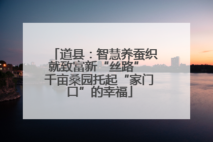 道县：智慧养蚕织就致富新“丝路” 千亩桑园托起“家门口”的幸福
