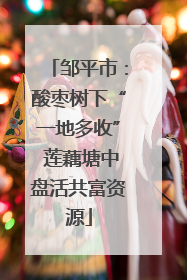 邹平市：酸枣树下“一地多收” 莲藕塘中盘活共富资源