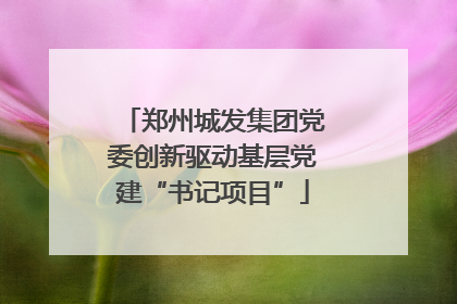 郑州城发集团党委创新驱动基层党建“书记项目”