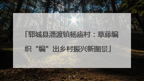 郓城县潘渡镇杨庙村：草藤编织“编”出乡村振兴新图景
