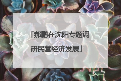 郝鹏在沈阳专题调研民营经济发展