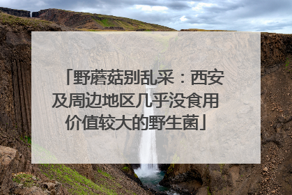 野蘑菇别乱采：西安及周边地区几乎没食用价值较大的野生菌