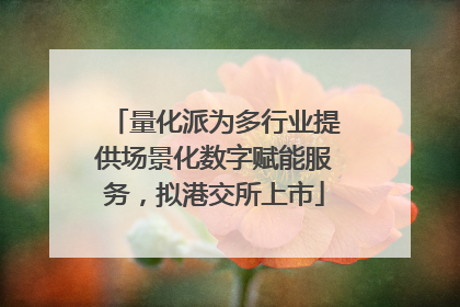 量化派为多行业提供场景化数字赋能服务，拟港交所上市