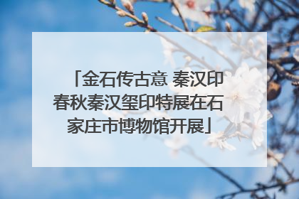 金石传古意 秦汉印春秋秦汉玺印特展在石家庄市博物馆开展