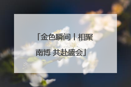 金色瞬间丨相聚南博 共赴盛会