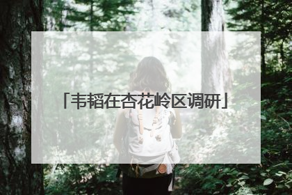 韦韬在杏花岭区调研