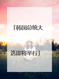 韩国总统大选即将举行