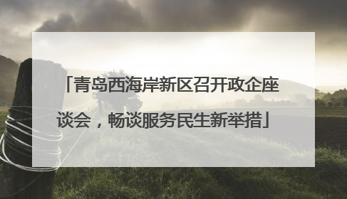 青岛西海岸新区召开政企座谈会，畅谈服务民生新举措
