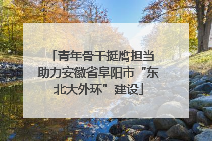 青年骨干挺膺担当 助力安徽省阜阳市“东北大外环”建设