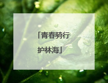 青春骑行护林海