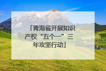 青海省开展知识产权“五个一”三年攻坚行动