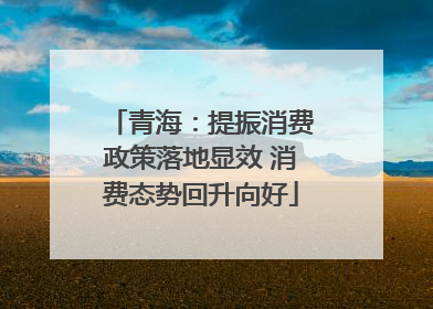 青海：提振消费政策落地显效 消费态势回升向好