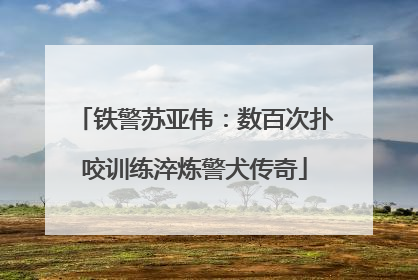 铁警苏亚伟：数百次扑咬训练淬炼警犬传奇