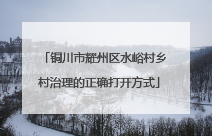 铜川市耀州区水峪村乡村治理的正确打开方式