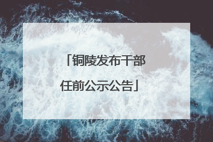 铜陵发布干部任前公示公告