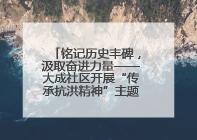 铭记历史丰碑，汲取奋进力量——大成社区开展“传承抗洪精神”主题党日活动