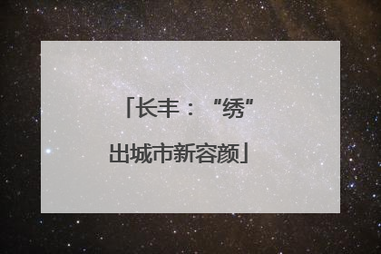 长丰：“绣”出城市新容颜
