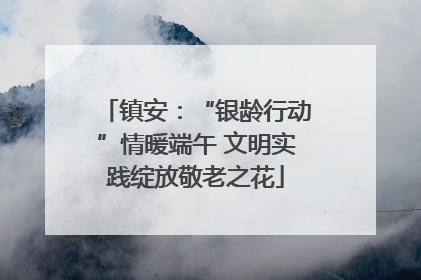 镇安：“银龄行动”情暖端午 文明实践绽放敬老之花
