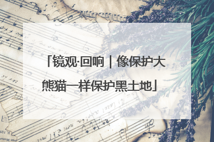 镜观·回响｜像保护大熊猫一样保护黑土地