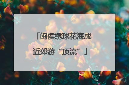 闽侯绣球花海成近郊游“顶流”