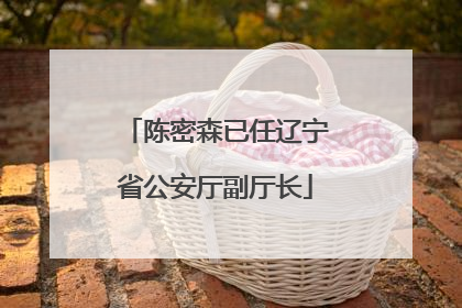 陈密森已任辽宁省公安厅副厅长