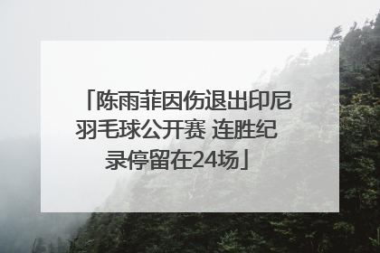 陈雨菲因伤退出印尼羽毛球公开赛 连胜纪录停留在24场