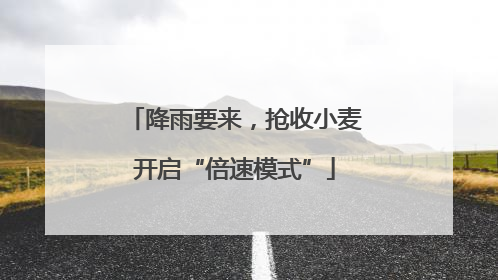 降雨要来，抢收小麦开启“倍速模式”