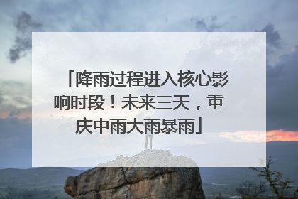 降雨过程进入核心影响时段！未来三天，重庆中雨大雨暴雨