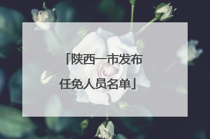 陕西一市发布任免人员名单