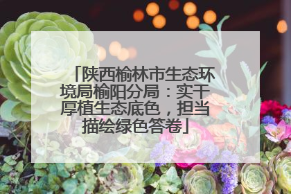 陕西榆林市生态环境局榆阳分局：实干厚植生态底色，担当描绘绿色答卷