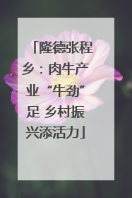 隆德张程乡：肉牛产业“牛劲”足 乡村振兴添活力
