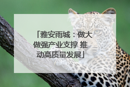 雅安雨城：做大做强产业支撑 推动高质量发展