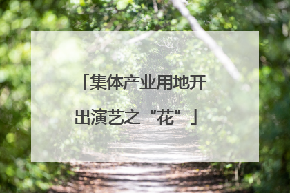 集体产业用地开出演艺之“花”
