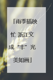 雨季插秧忙 浙江文成“丰”光美如画