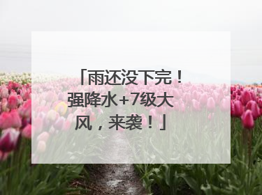雨还没下完！强降水+7级大风，来袭！