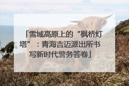 雪域高原上的“枫桥灯塔”：青海吉迈派出所书写新时代警务答卷