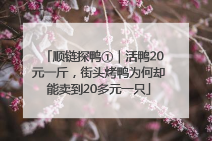 顺链探鸭①｜活鸭20元一斤，街头烤鸭为何却能卖到20多元一只