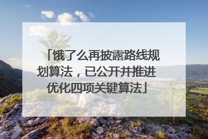 饿了么再披露路线规划算法，已公开并推进优化四项关键算法