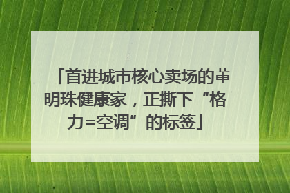 首进城市核心卖场的董明珠健康家，正撕下“格力=空调”的标签