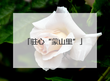 驻心“蒙山里”