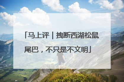 马上评｜拽断西湖松鼠尾巴，不只是不文明