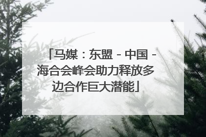 马媒：东盟－中国－海合会峰会助力释放多边合作巨大潜能