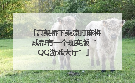 高架桥下乘凉打麻将 成都有一个现实版“QQ游戏大厅”