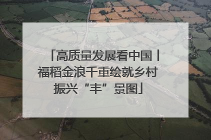 高质量发展看中国丨福稻金浪千重绘就乡村振兴“丰”景图
